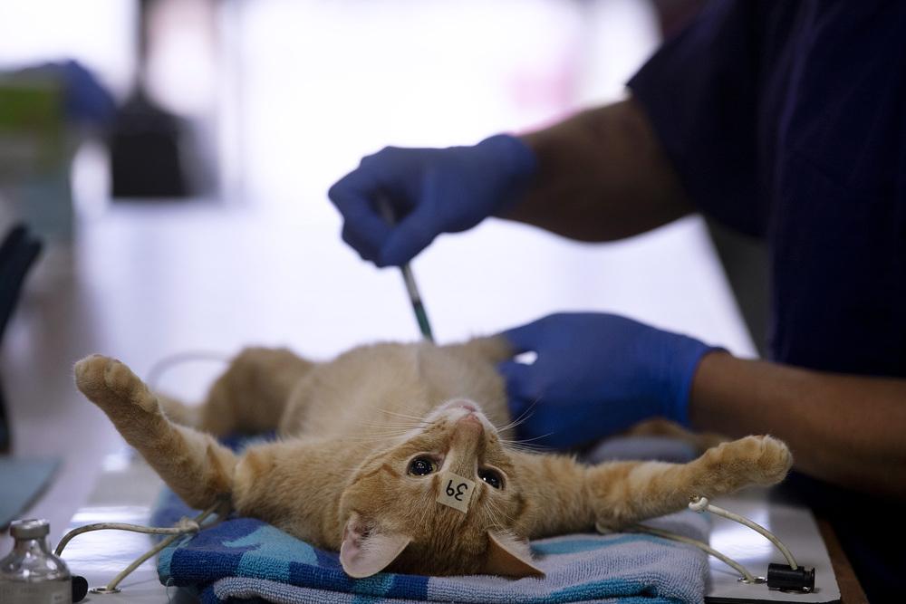 Jun Clip Contest Results